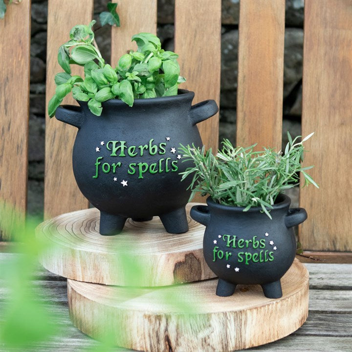 Cauldron Herbs for Spells Small Plantpot