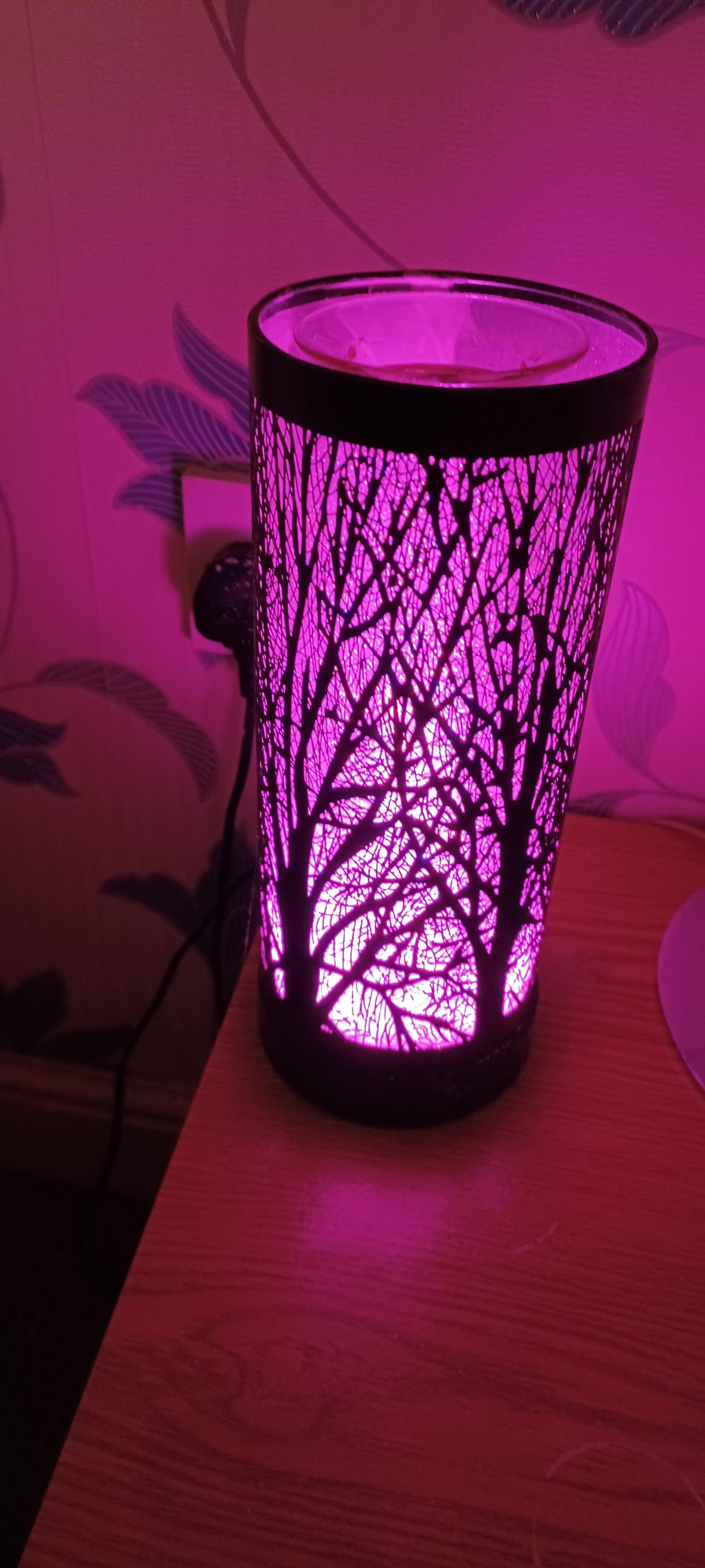 Colour Changing Electric Burners