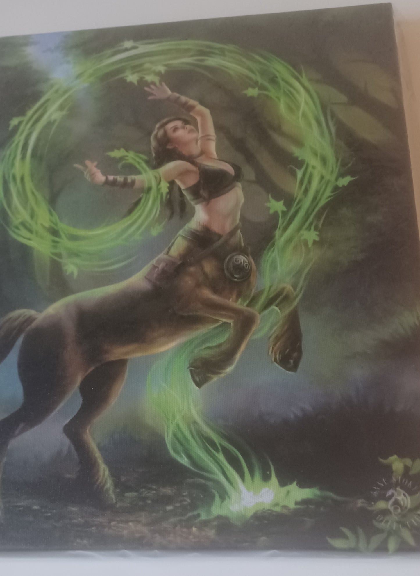 Anne Stokes Earth Elemental Sorceress canvas print
