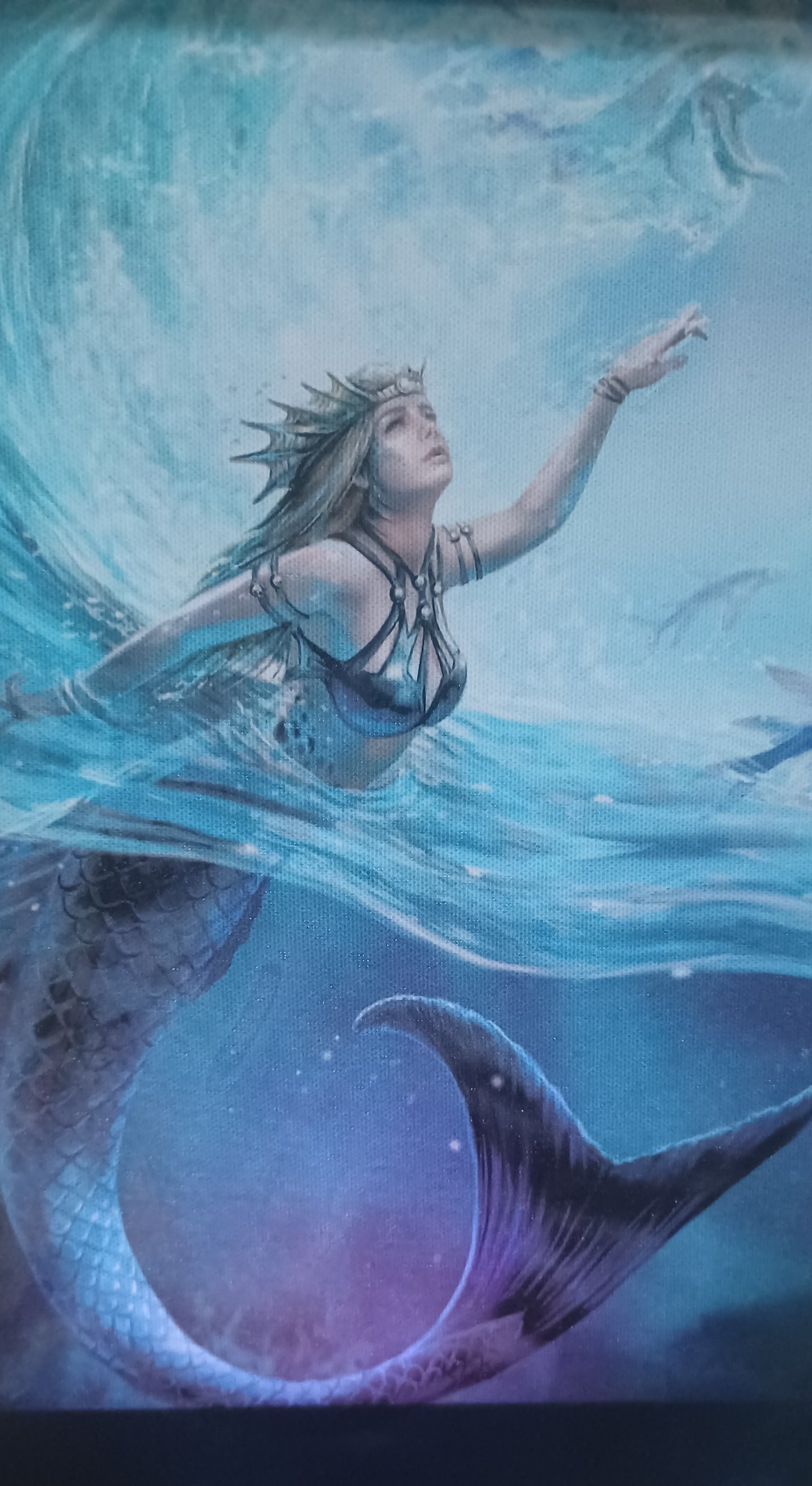 Anne Stokes Water Elemental Sorceress canvas print