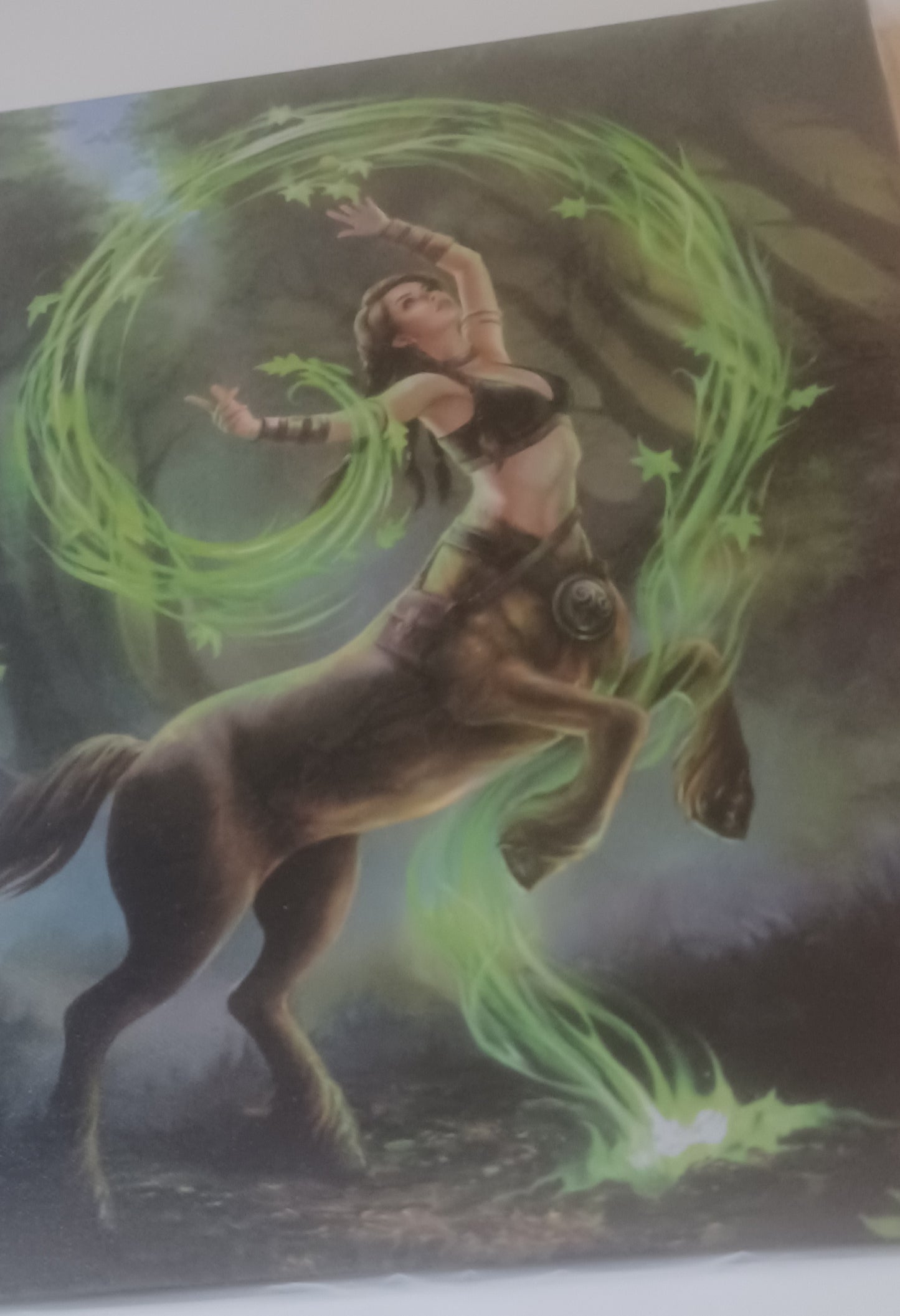 Anne Stokes Earth Elemental Sorceress canvas print