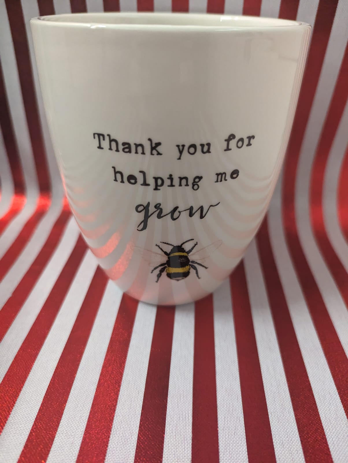 YOU FOR HELPING ME GROW" Ceramic  Plant pot
