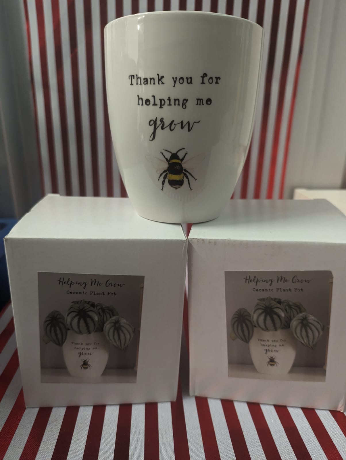 YOU FOR HELPING ME GROW" Ceramic  Plant pot