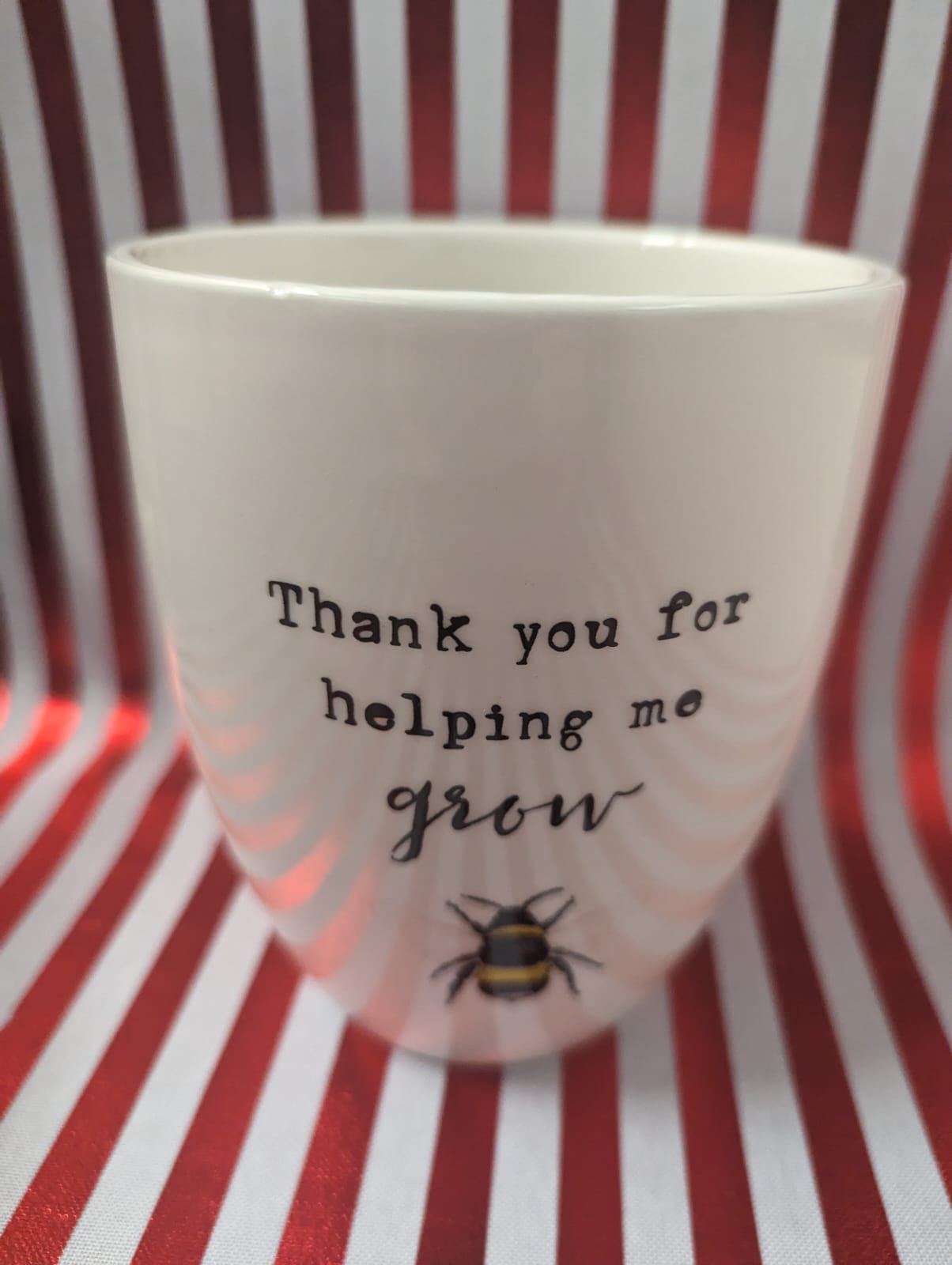 YOU FOR HELPING ME GROW" Ceramic  Plant pot